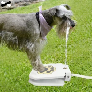 Fuente de Agua Automática para Perros - Dispensador de Agua Sin Electricidad, Acero Inoxidable, Ideal para Perros de Todos los Tamaños, Activación Fácil con Pata - Imagen 1