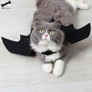 Disfraz de Murciélago para Mascotas Halloween, Disfraz Elegante de Vampiro Negro para Perros y Gatos, Alas de Murciélago con Campanas de Calabaza, Ideal para Cachorros y Gatitos en Halloween - Imagen 6